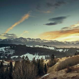 Néant de la Vie Soleil