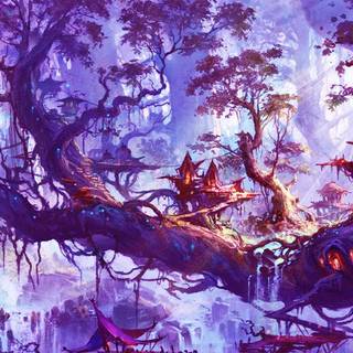 Village Forêt Féerique