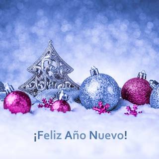 Feliz Año Nuevo
