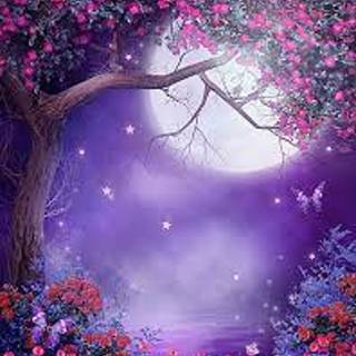 Pretty Purple Night with Moon