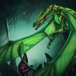 Wings of fire Sundew