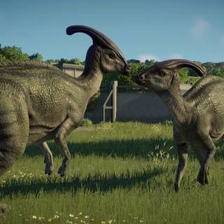 Two Parasaurolophus meting