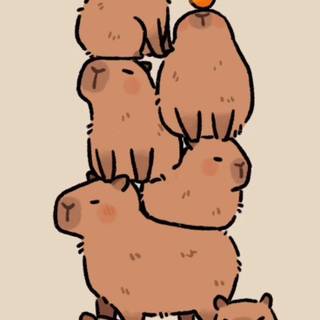 this be like my friends everyday and i will be at the top