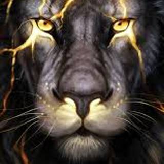 Gold of Lion