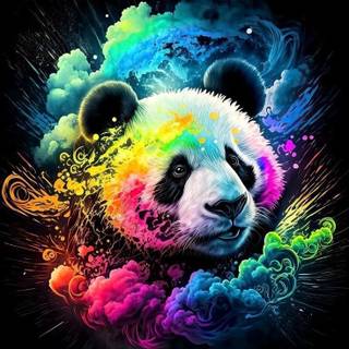 Panda ewplosion de couleurs