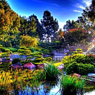 Beautiful garden