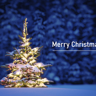 Merry Christmas
