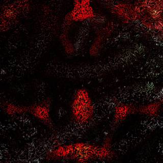 iphone X Wallpaper Firestarter