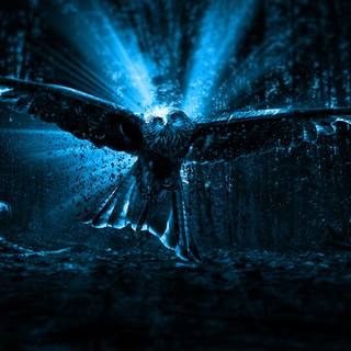 the best pos you can get