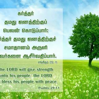 Tamil Bible Verse HD Wallpapers