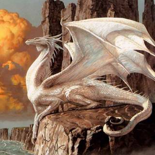White Dragon