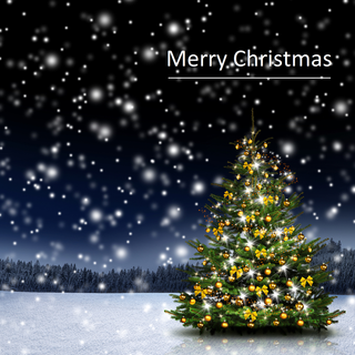 Merry Christmas