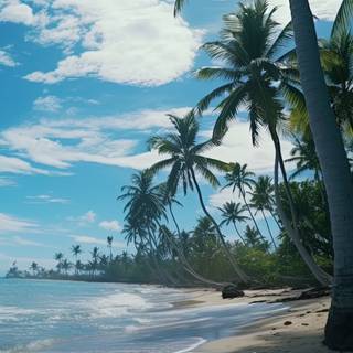 Tropical Paradise Vibes