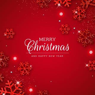 Merry Christmas and Happy New Year