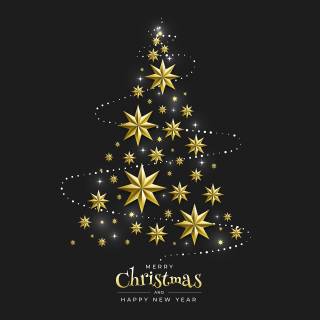 Merry Christmas and Happy New Year