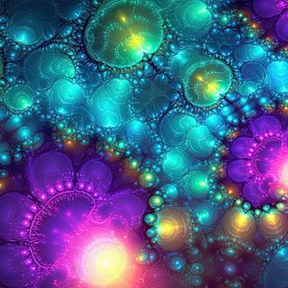 A Radiant Journey through the Fractal Galaxy