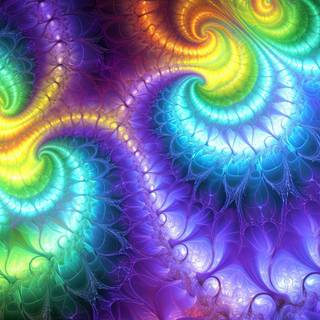 A Radiant Journey through the Fractal Galaxy