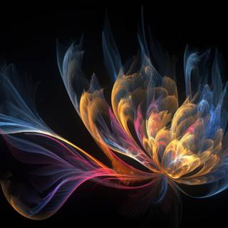 Blossoming Colors of Nature