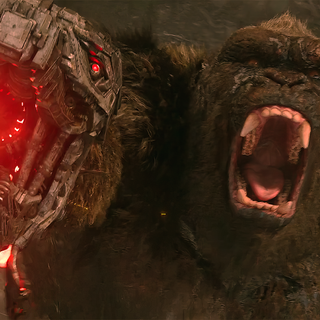 Kong v Robo