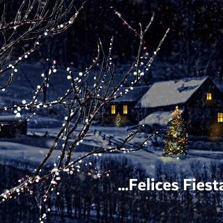 Felices Fiestas