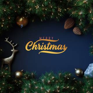 Merry Christmas