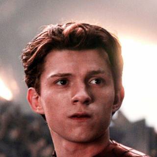 Spider man  Tom holland