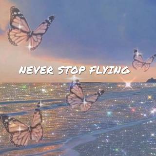 Never stop flying 