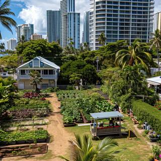 Lush City Farming Landscape