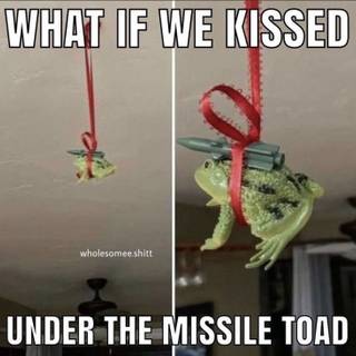 Missile toad