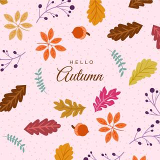 Hello autumn 
