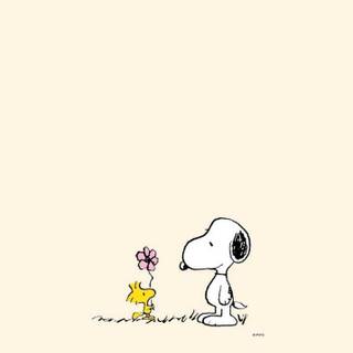 Snoopy meets Woodstock with a flower
