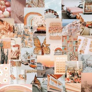 Peach daisy y2k aesthetic collage