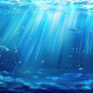 Tranquil Underwater Scene