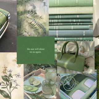 Sage Green aesthetic wallpaper collage