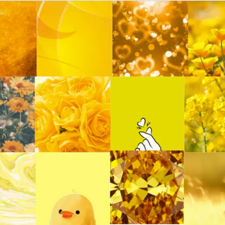 Yellow Collage