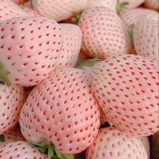 cute strawberrys