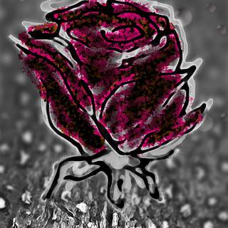 iphone 15 Pro Max Wallpaper Dirty Rose