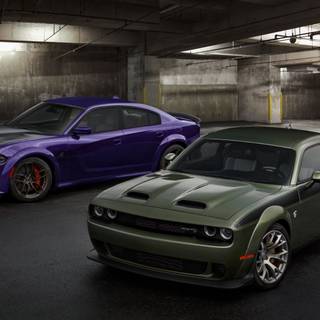 black and purple hellcats