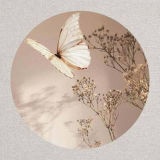 Brown Aesthetic Profile picture