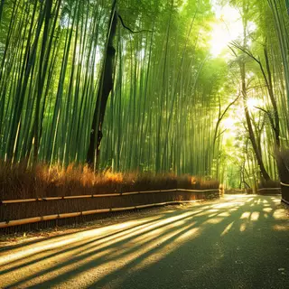A Calming Path Through a Bamboo Forest