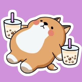 Dog Laying Down With Bubble Tea