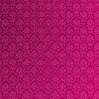 Fucsia Pattern