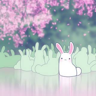 Cute-Rabbit-Cute Rabbit-Smile-Smile Rabbit