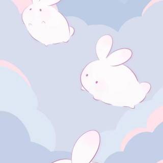 Rabbits