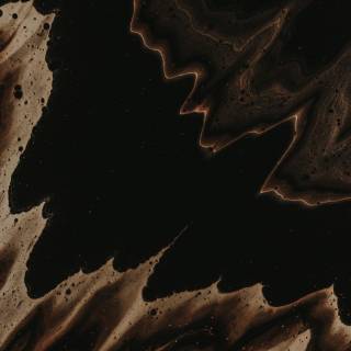 Abstract by Pawel Czerwinski