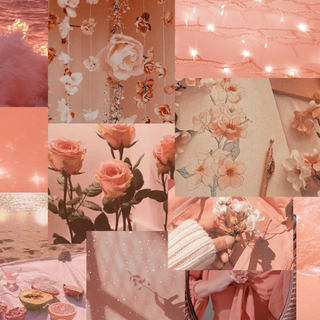 Peach Aestheic Wallpaper Collage