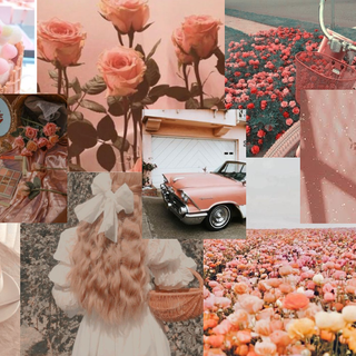 Peach Aestheic Wallpaper Collage