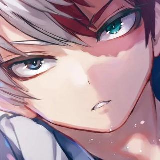 Shoto todoroki 