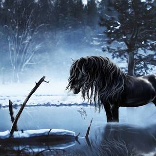 Horse in Water with Snow