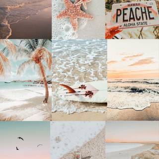 Aesthetic Beach Collage